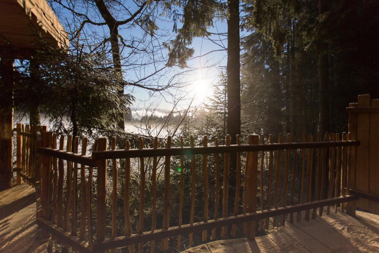 Domaine De L'Authentique Cabanes Dans Les Arbres Fournet-Blancheroche Exterior photo